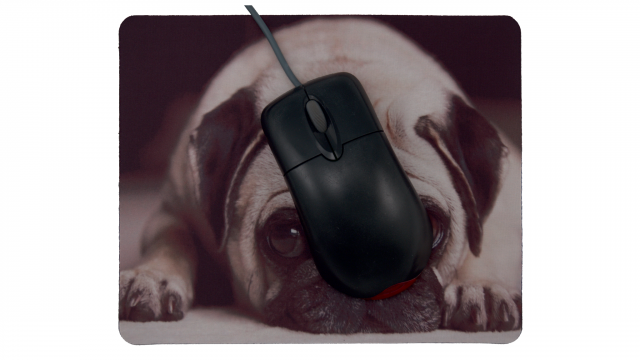 Trött hund framsida med mus