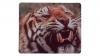 Rytande tiger framsida